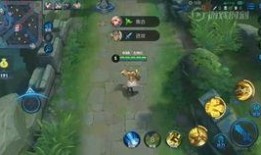 王者爆料老白是谁啊视频,王者爆料视频中神秘人物“老白”的真实身份